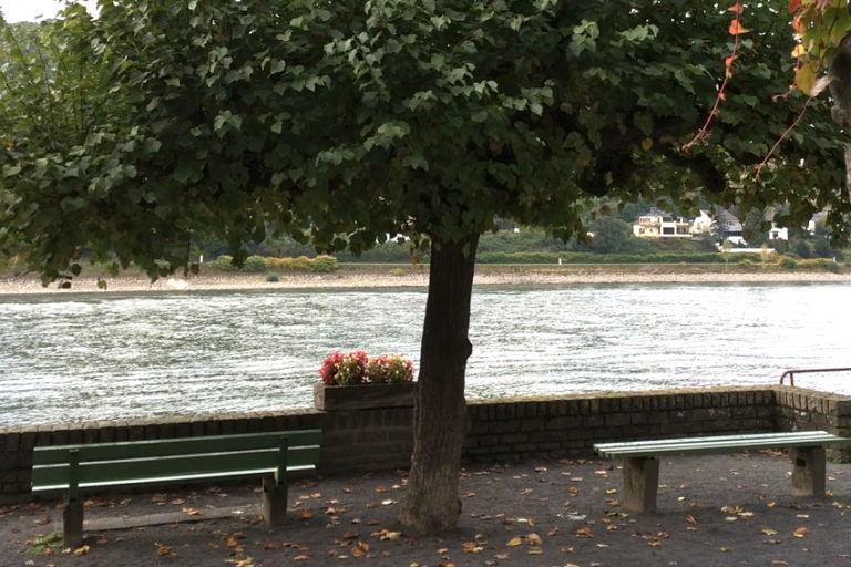Galerei-Rhein_Bank - Campingplatz Happach